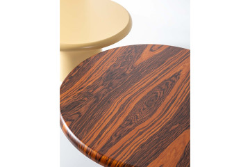 Chakra Walnut Orta Sehpa